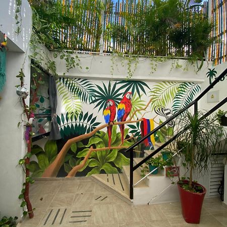 Lux Studio Room Las Palmas פוארטו מורלוס מראה חיצוני תמונה